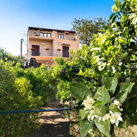 Panzió Parco Dei Templi Agrigento