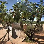 Parco Dei Templi Agrigento