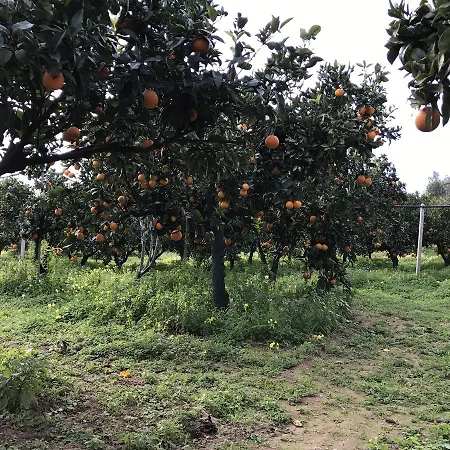 Nocleg ze śniadaniem Parco Dei Templi 3*